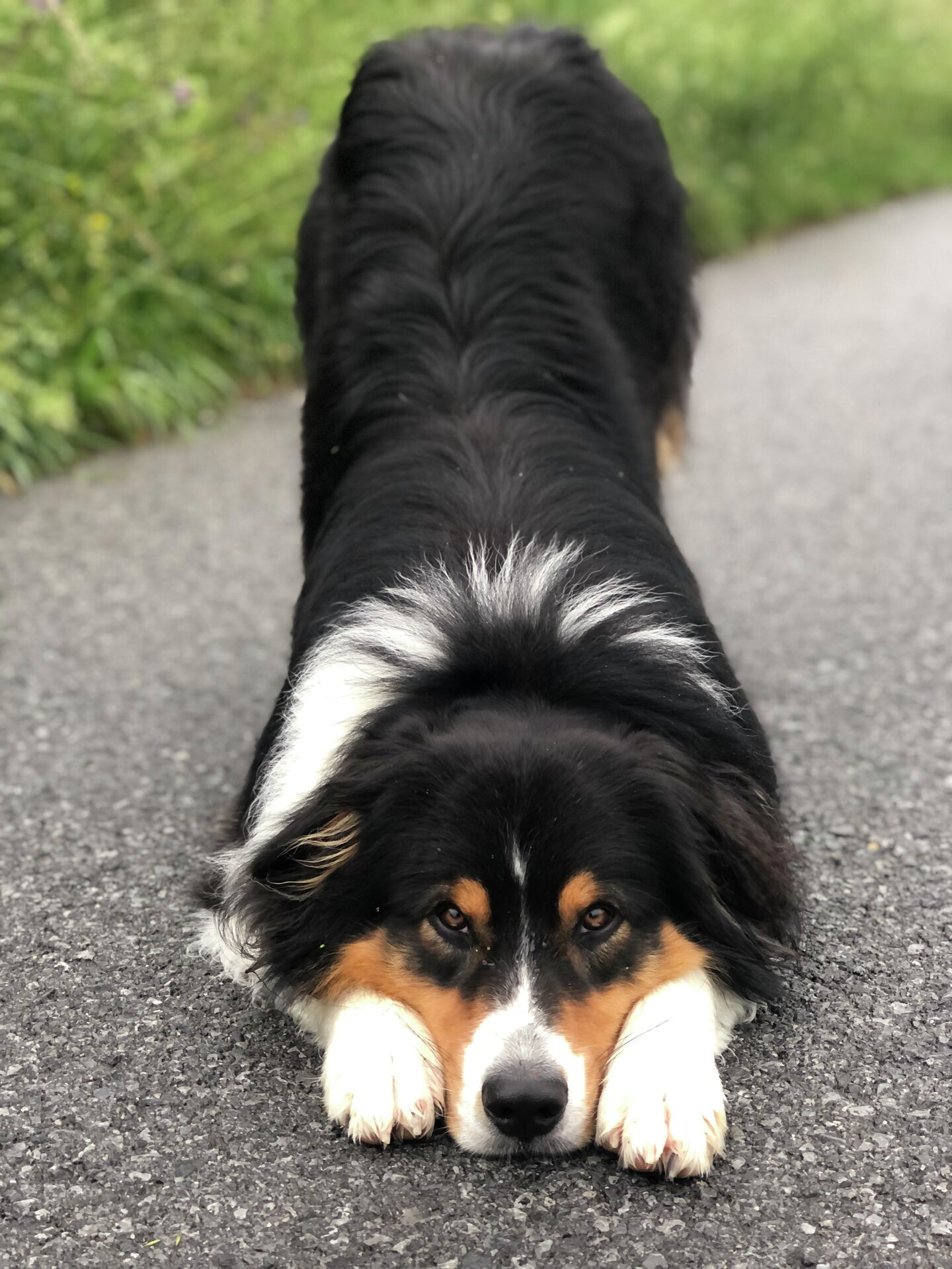 BFoto Alexander Eiterer