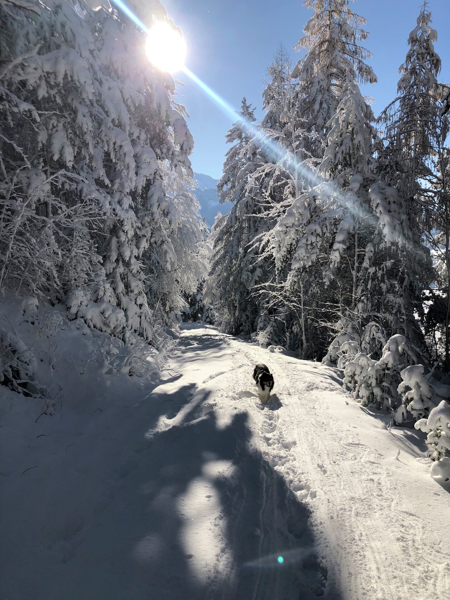 Foto Alexander Eiterer