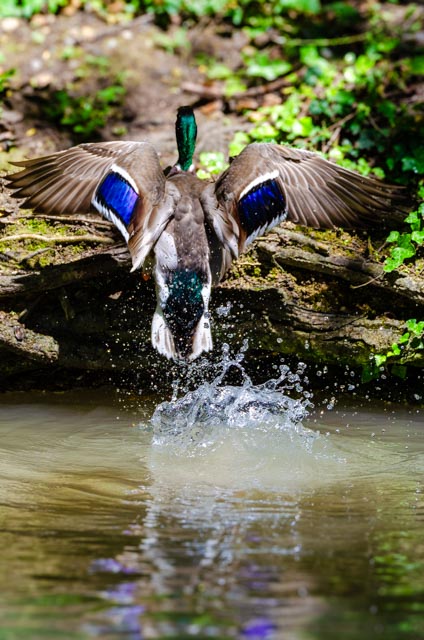 Foto Alexander Eiterer