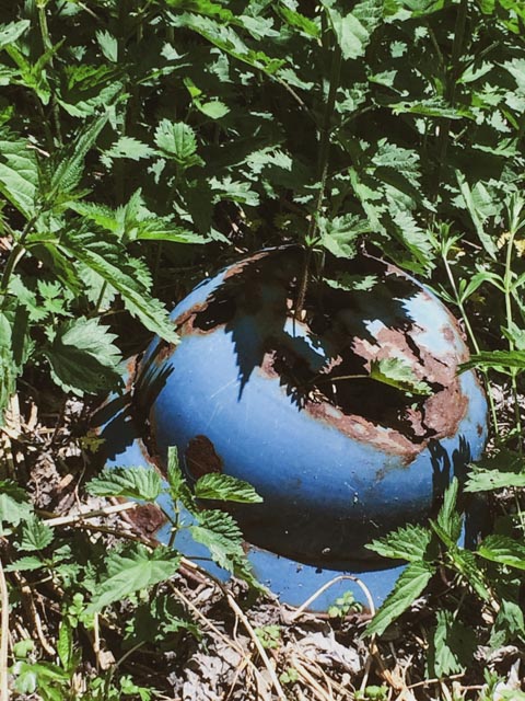 Foto Alexander Eiterer